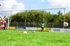 DSC_6335.JPG
