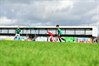 DSC_6343.JPG