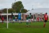 DSC_7251.JPG