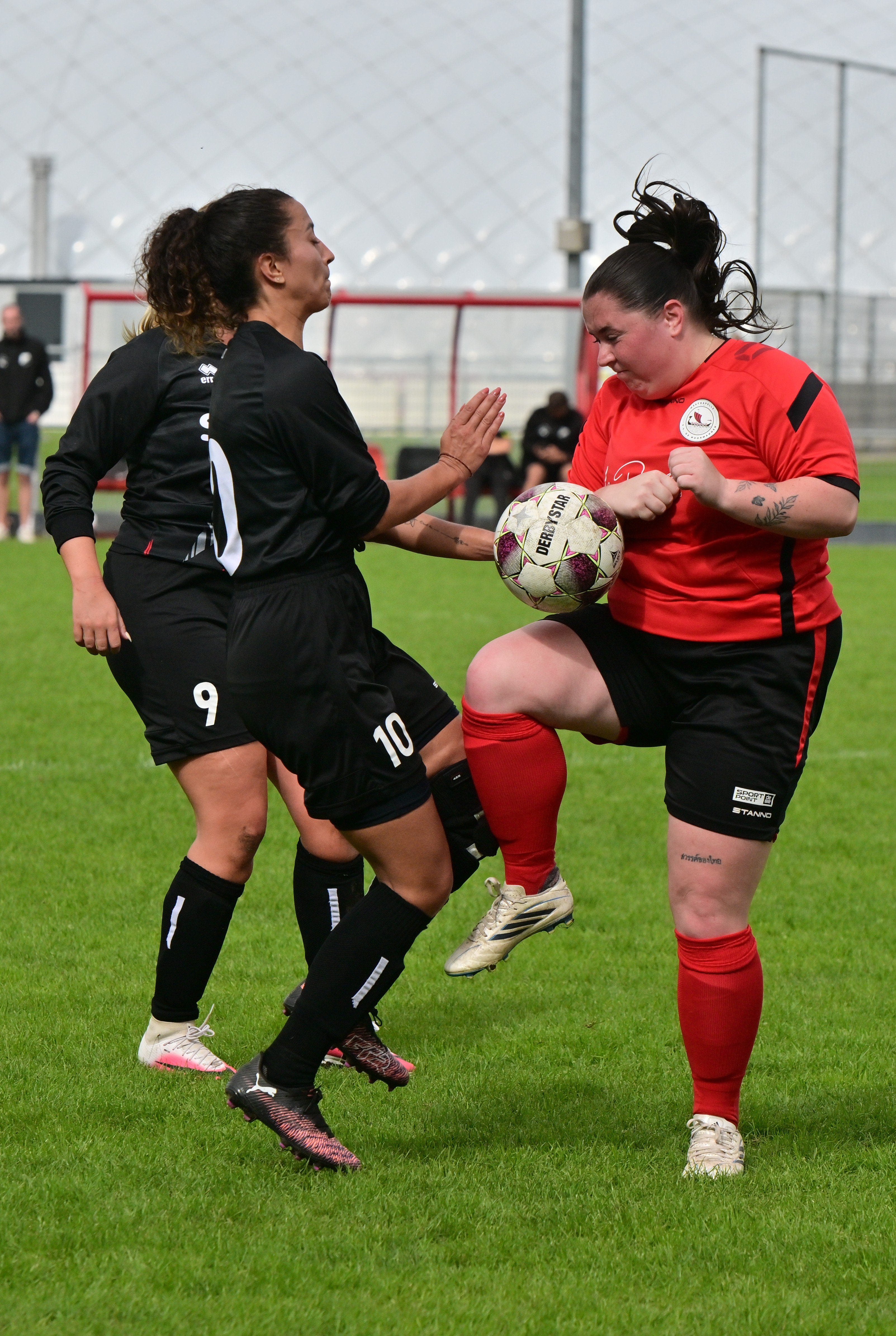 DSC_7189.JPG
