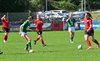 DSC_6679.JPG