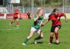 DSC_6728.JPG